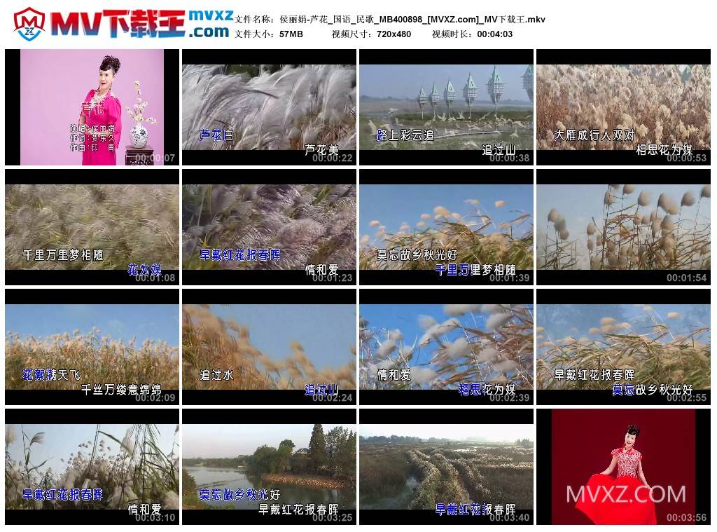 侯丽娟-芦花_国语_民歌_MB400898